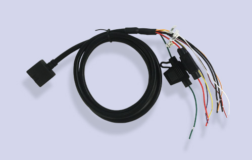 Female 12pin Molex Connector